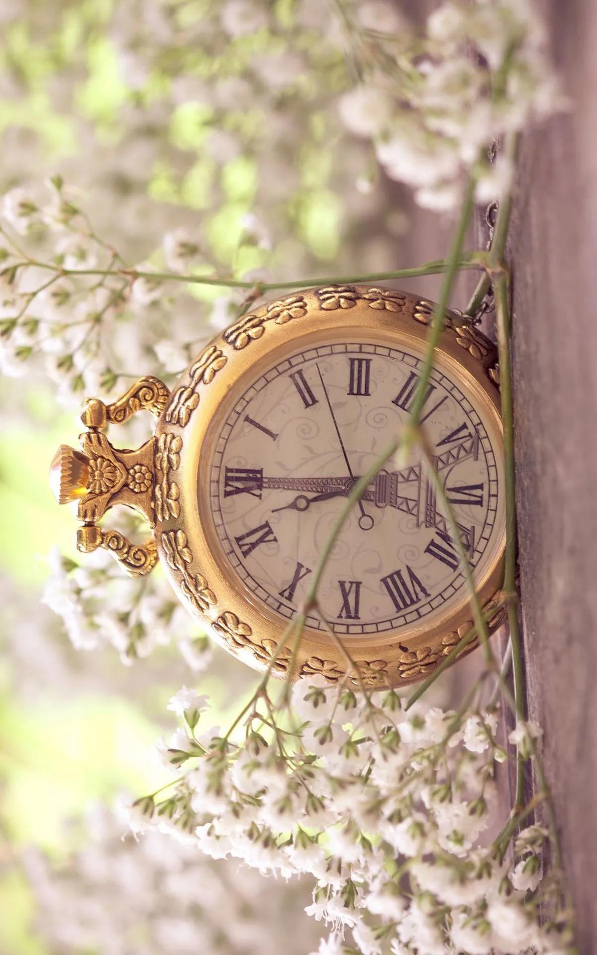 唯美景深壁纸,手机动态钟表壁纸