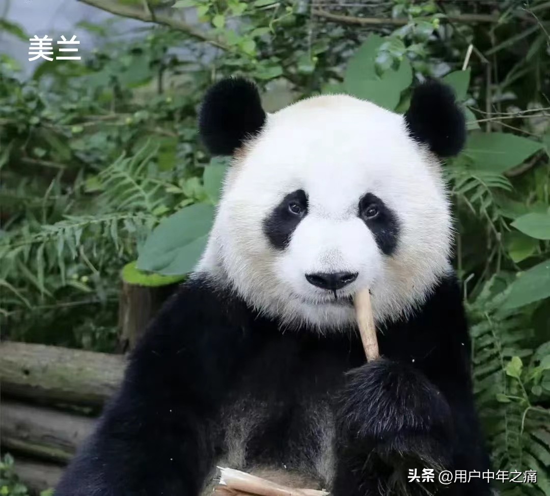 天之骄女是哪一年的,天之骄女重生归来小说