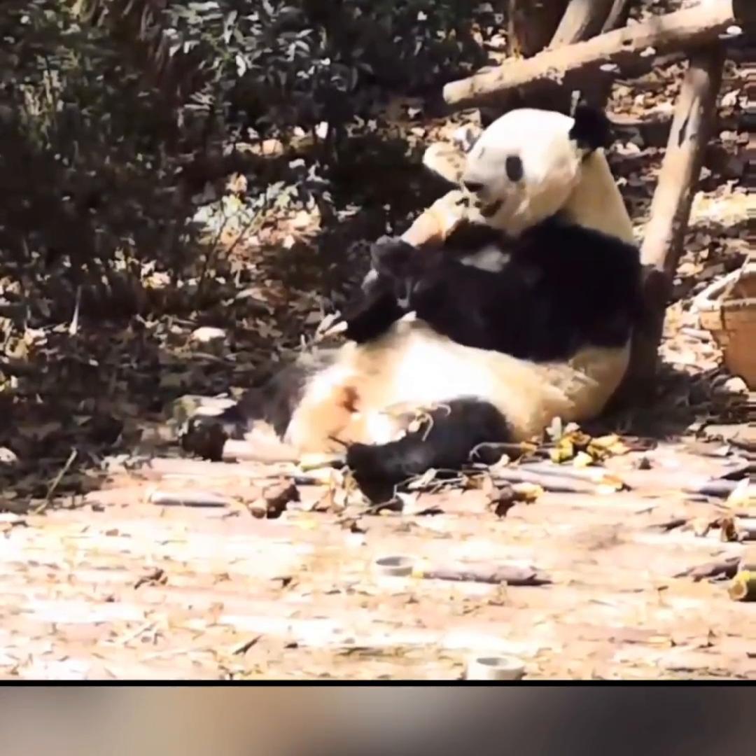 小说推文深入交流,草莓尖尖小说推文