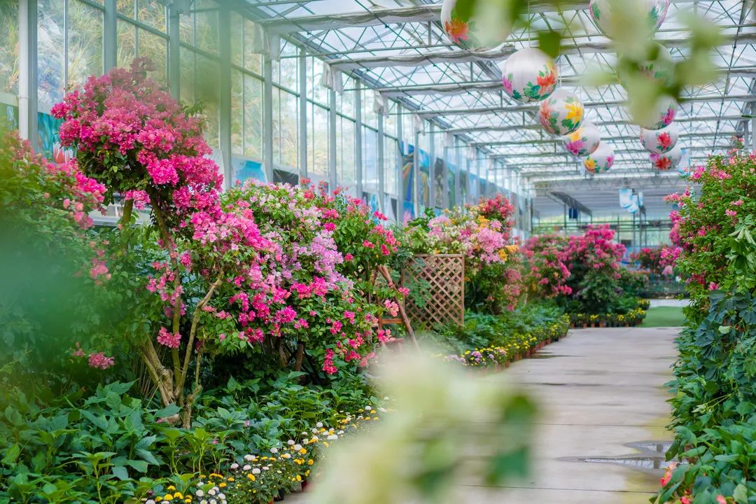 黄湾小镇避暑民宿,黄冈民宿自驾游