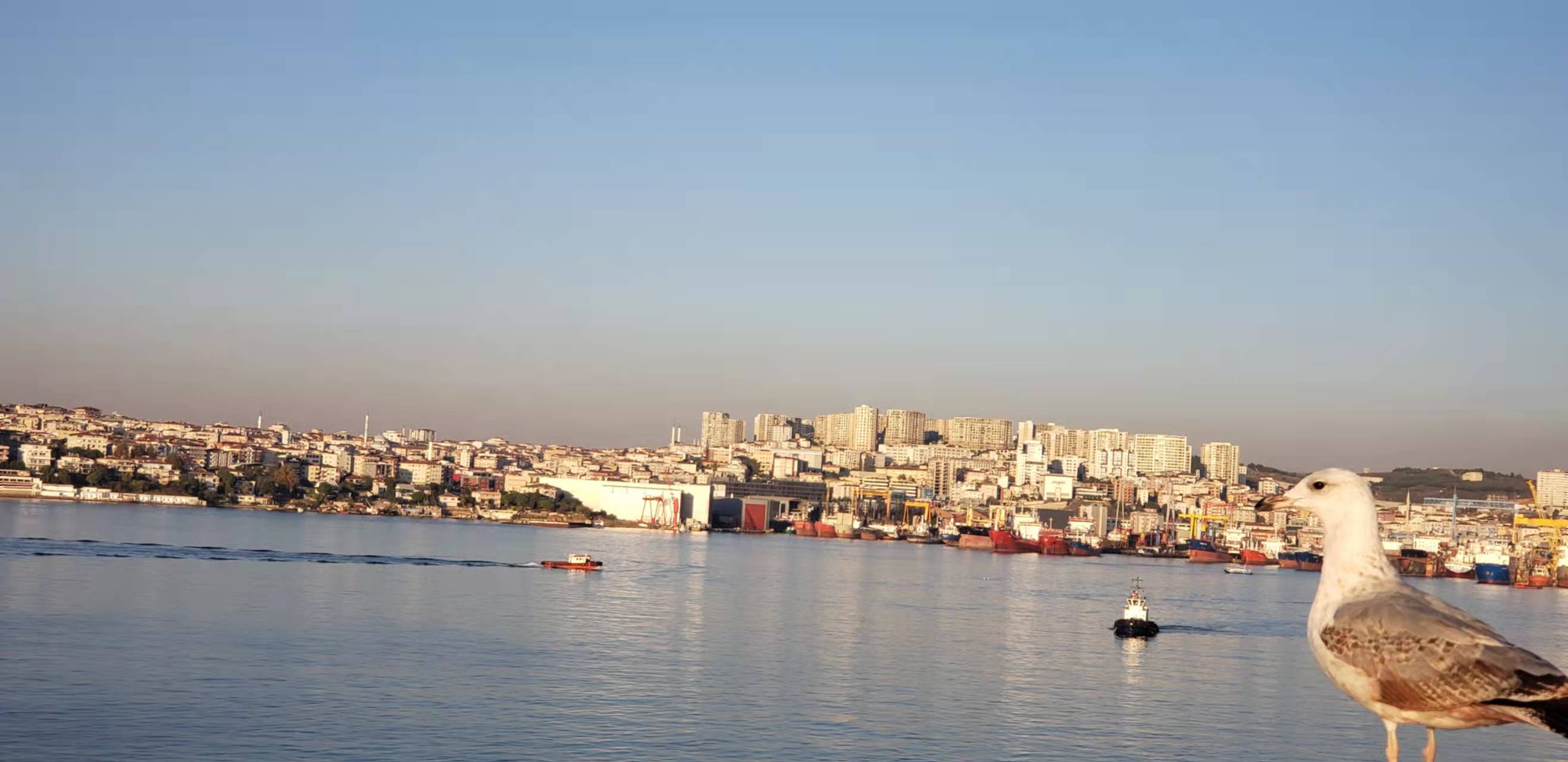 归期无期土耳其图兹拉的美食与小景