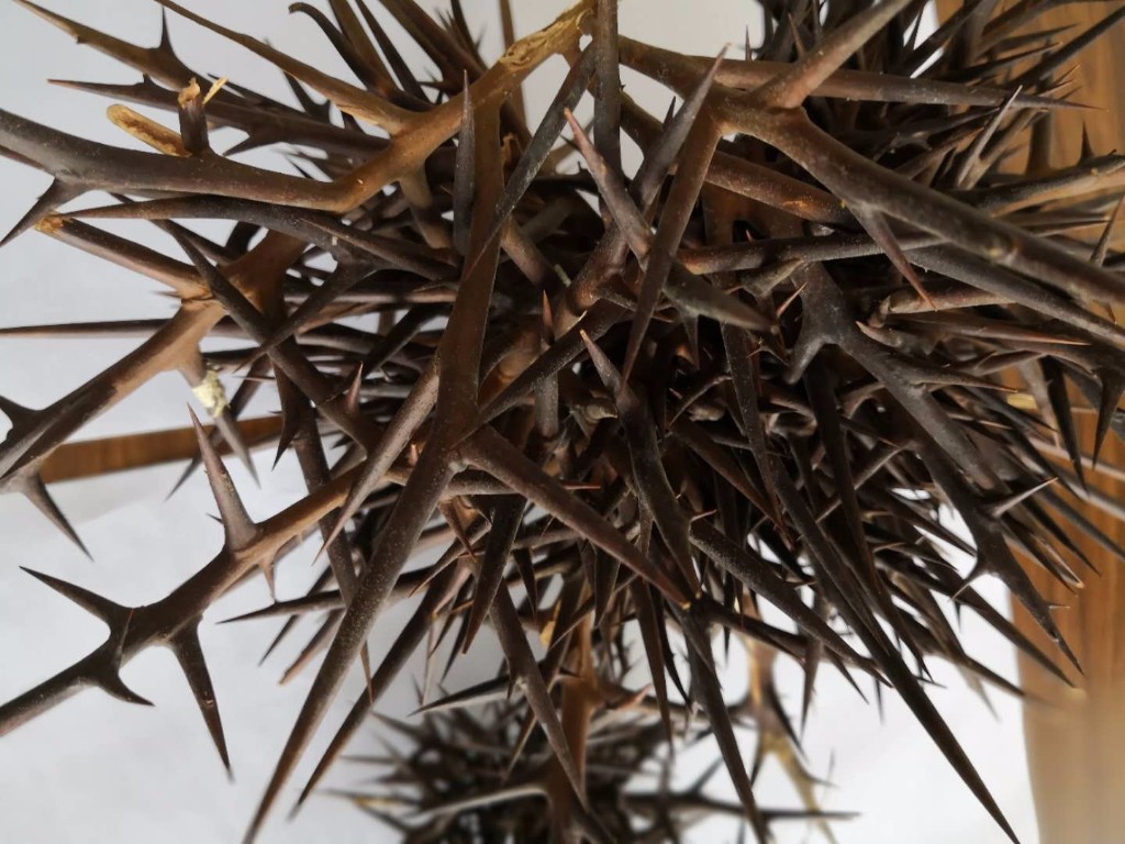 治疗风湿病的药能治疗骨刺吗,关节长骨刺是痹症吗