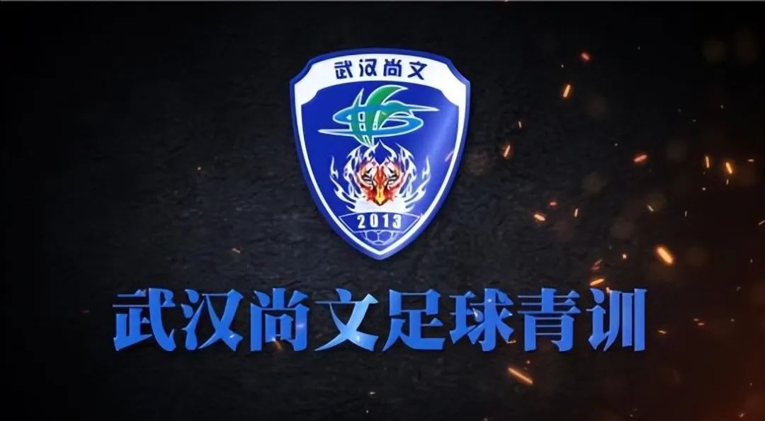 足协武汉三镇,武汉三镇是中超新球队吗