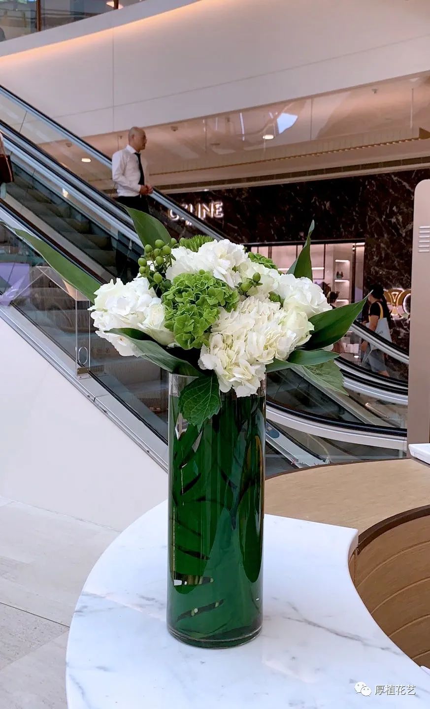 商务前台鲜花,前台花选择