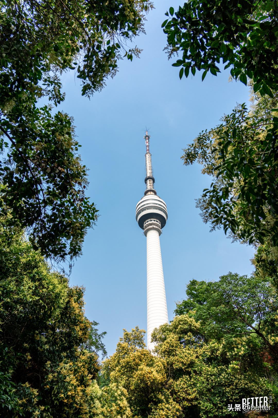 城中3处小众宝藏绿地，一起去散个步吗