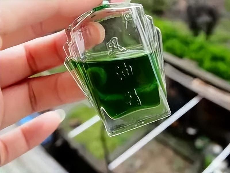 有什么办法不犯困开车,开车犯困怎么办试试这几招吧