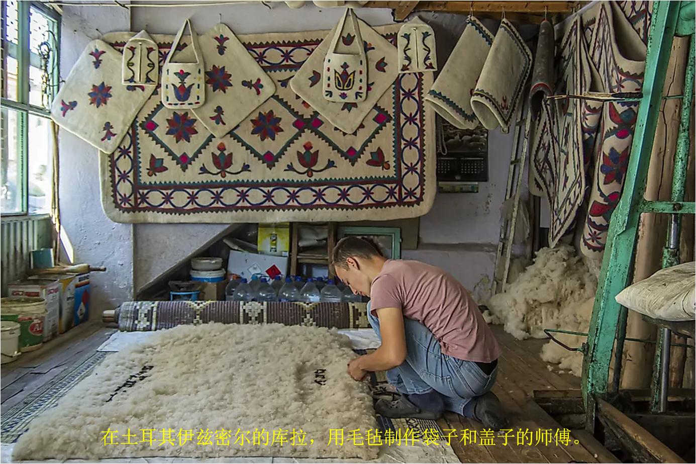 羊毛出口量最高的国家,世界最大的羊毛出口国是哪个