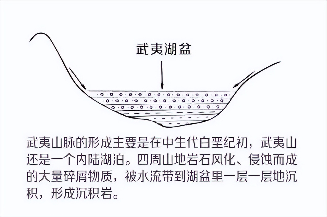 如何了解武夷山茶,探寻武夷