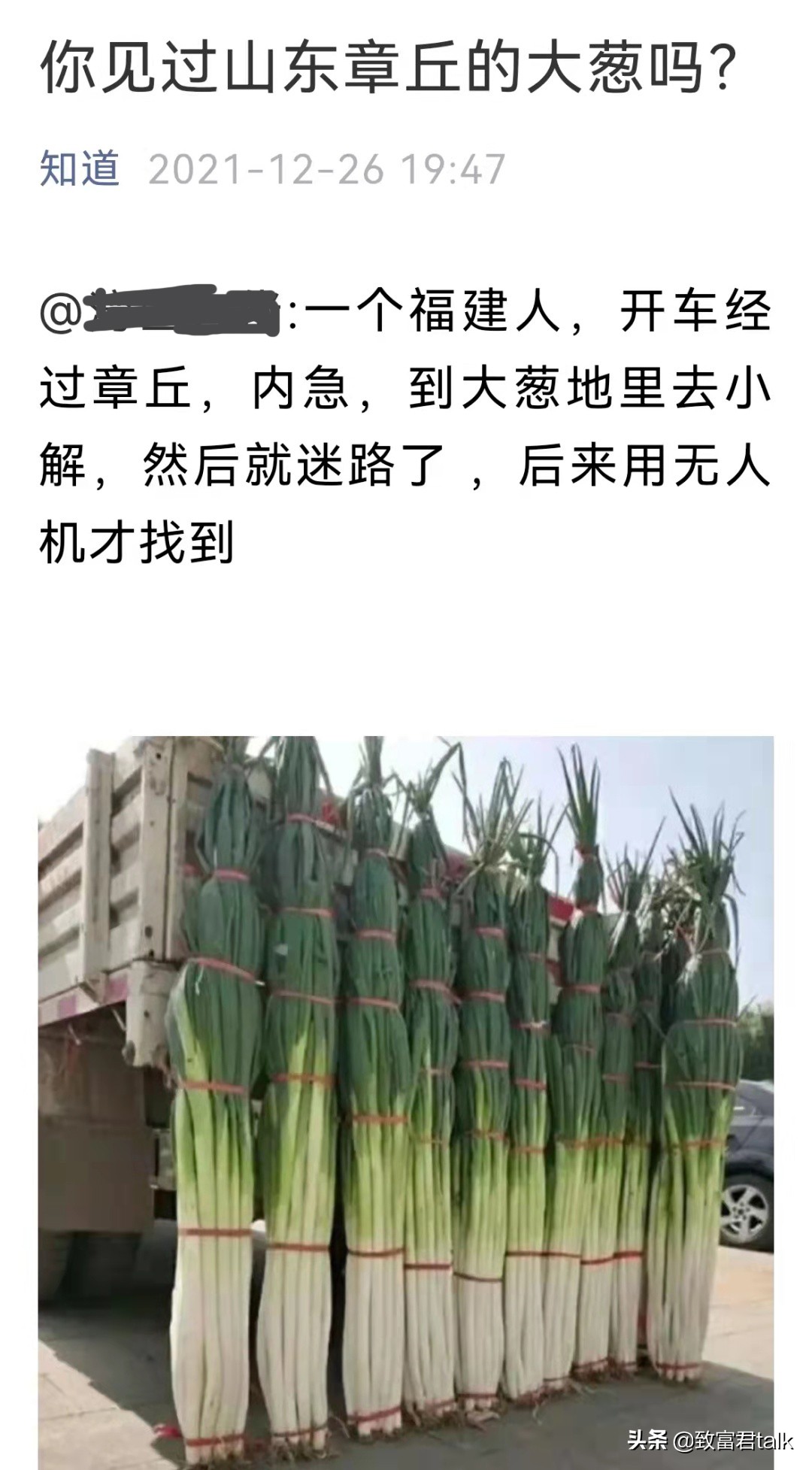 他种的大葱，比姚明高一头