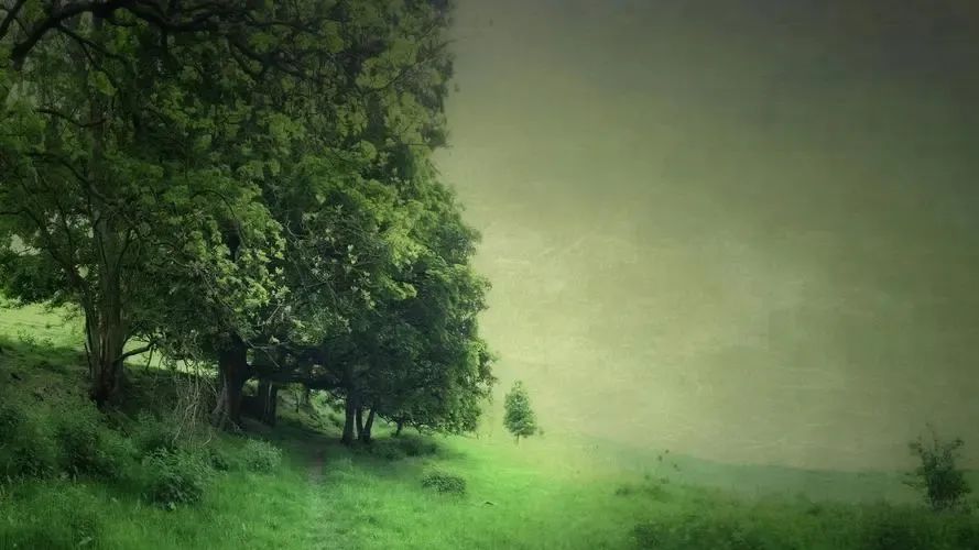 我的自画像作文男生四年级400字,我的自画像作文100字范文