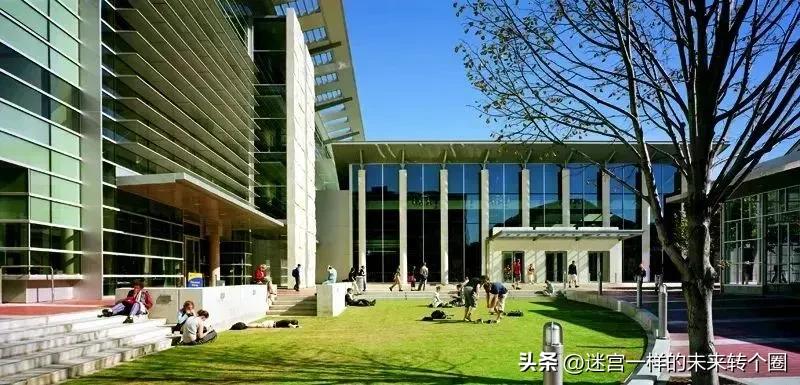 新西兰8所大学，居然都是宝藏大学