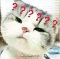 肖战微博上发自己的照片,肖战曾经的微博照片