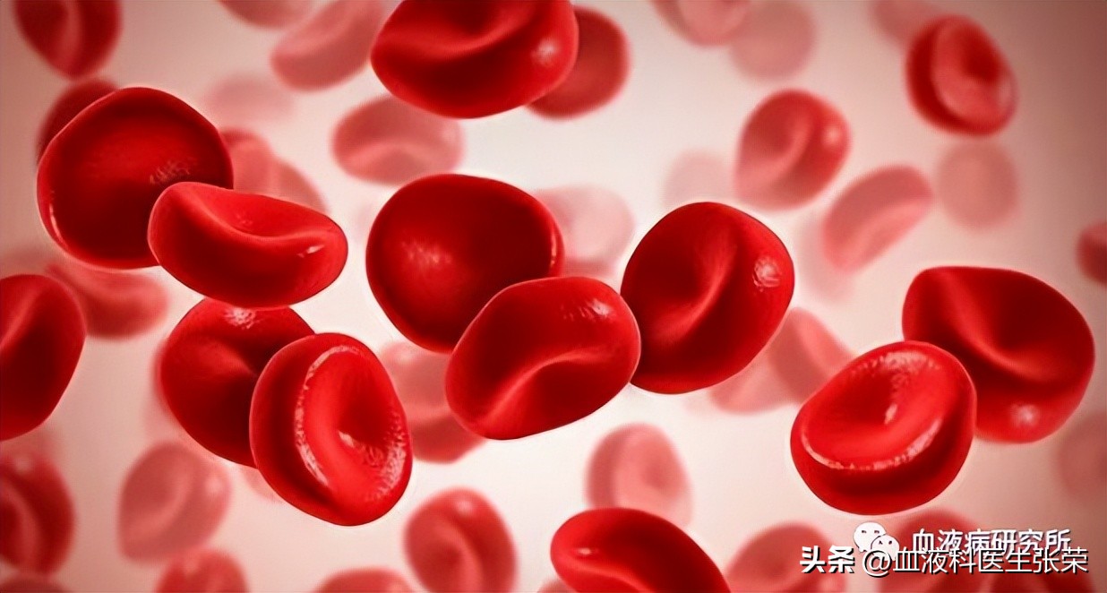 再生障碍性贫血atg治疗费用,atg治疗重型再生障碍贫血复发