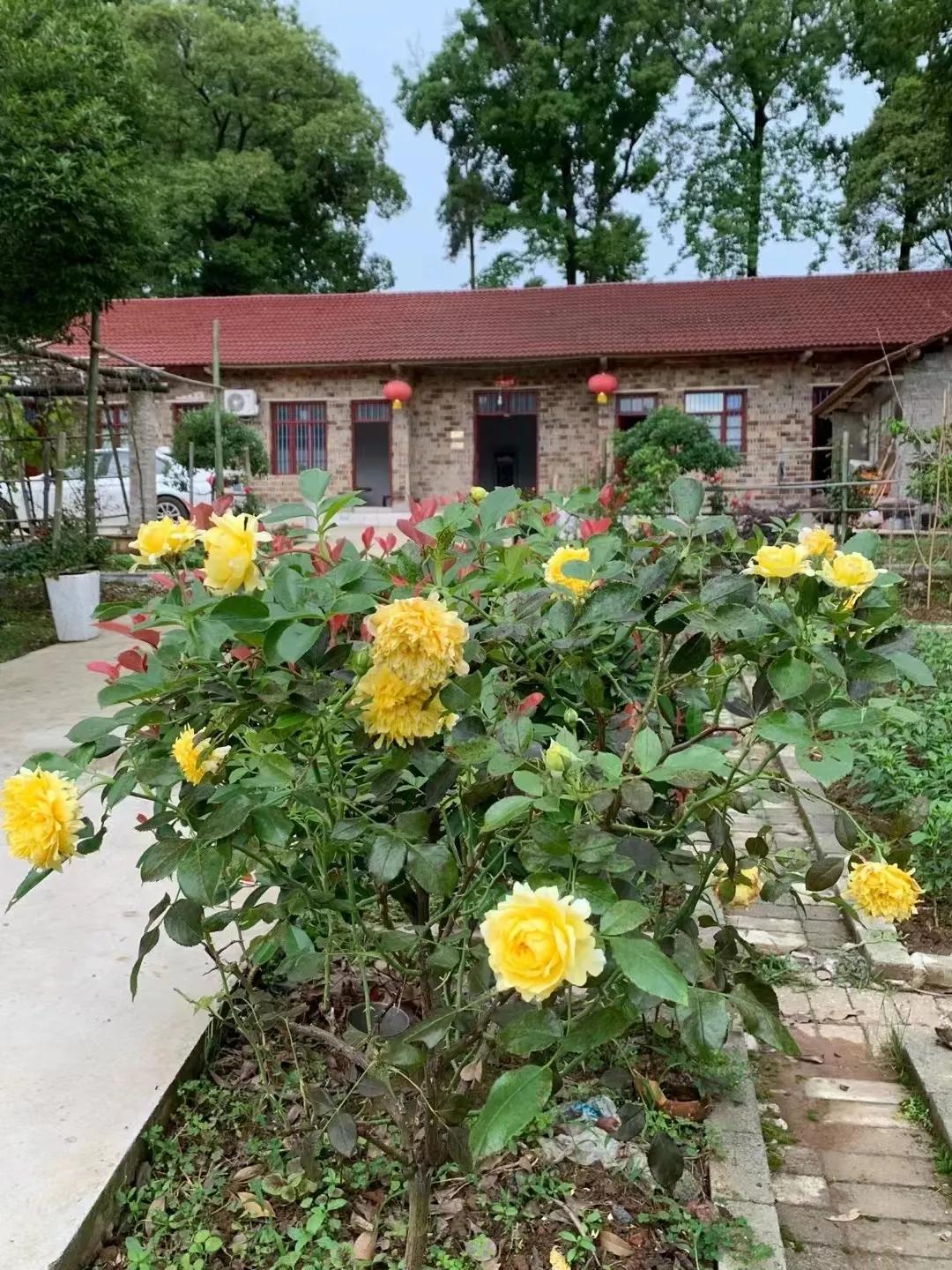 平凡的生活心里一定要有风景,平凡人的快乐人生