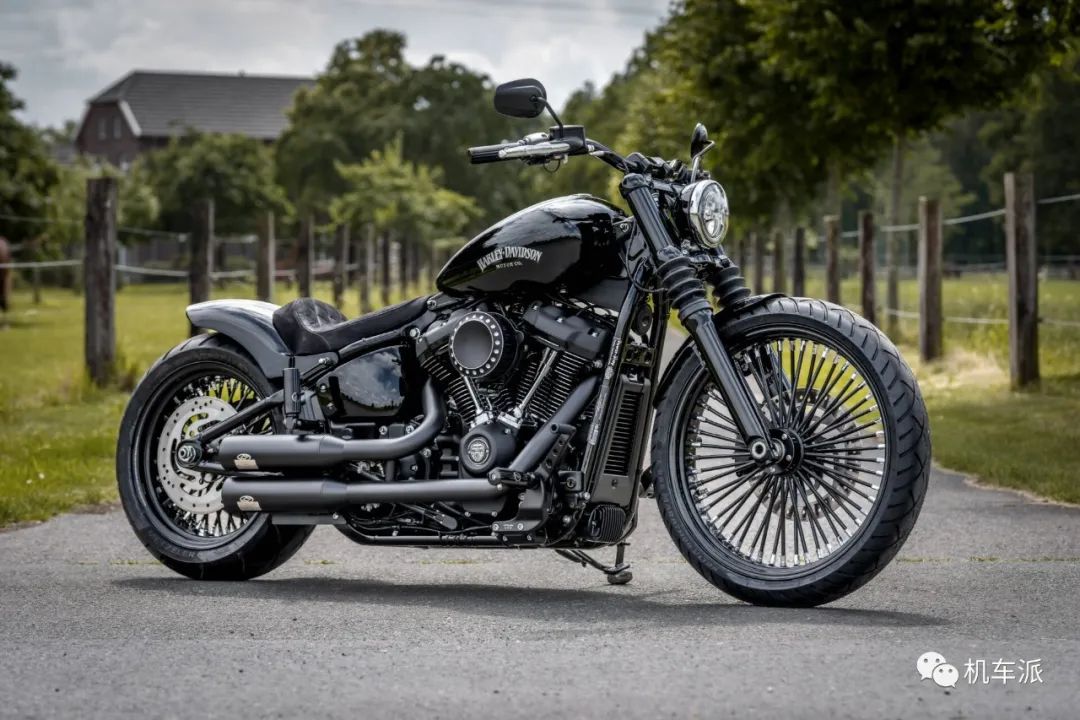 定制版哈雷panhead原图,美国定制哈雷chopper