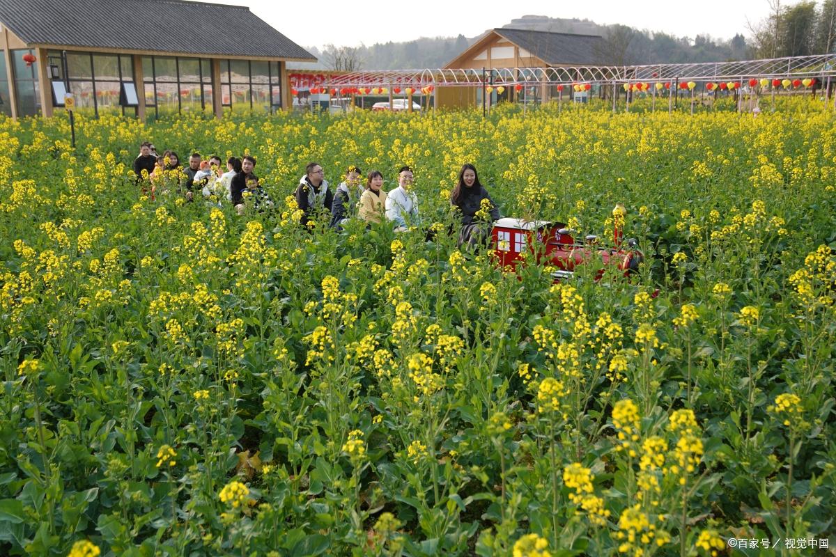 农村电商十大暴利门道,农村未来10大暴利行业现状