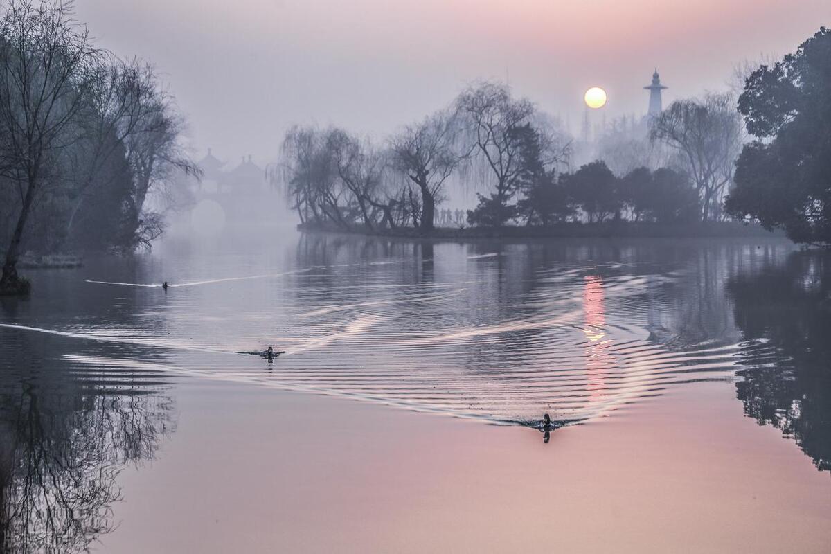 中医：治疗冠心病，调理腑脏很关键！