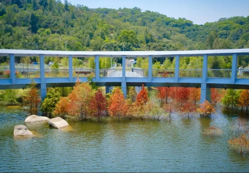 厦门山海健康步道林海线全攻略,厦门健康步道林海线二期正式开放