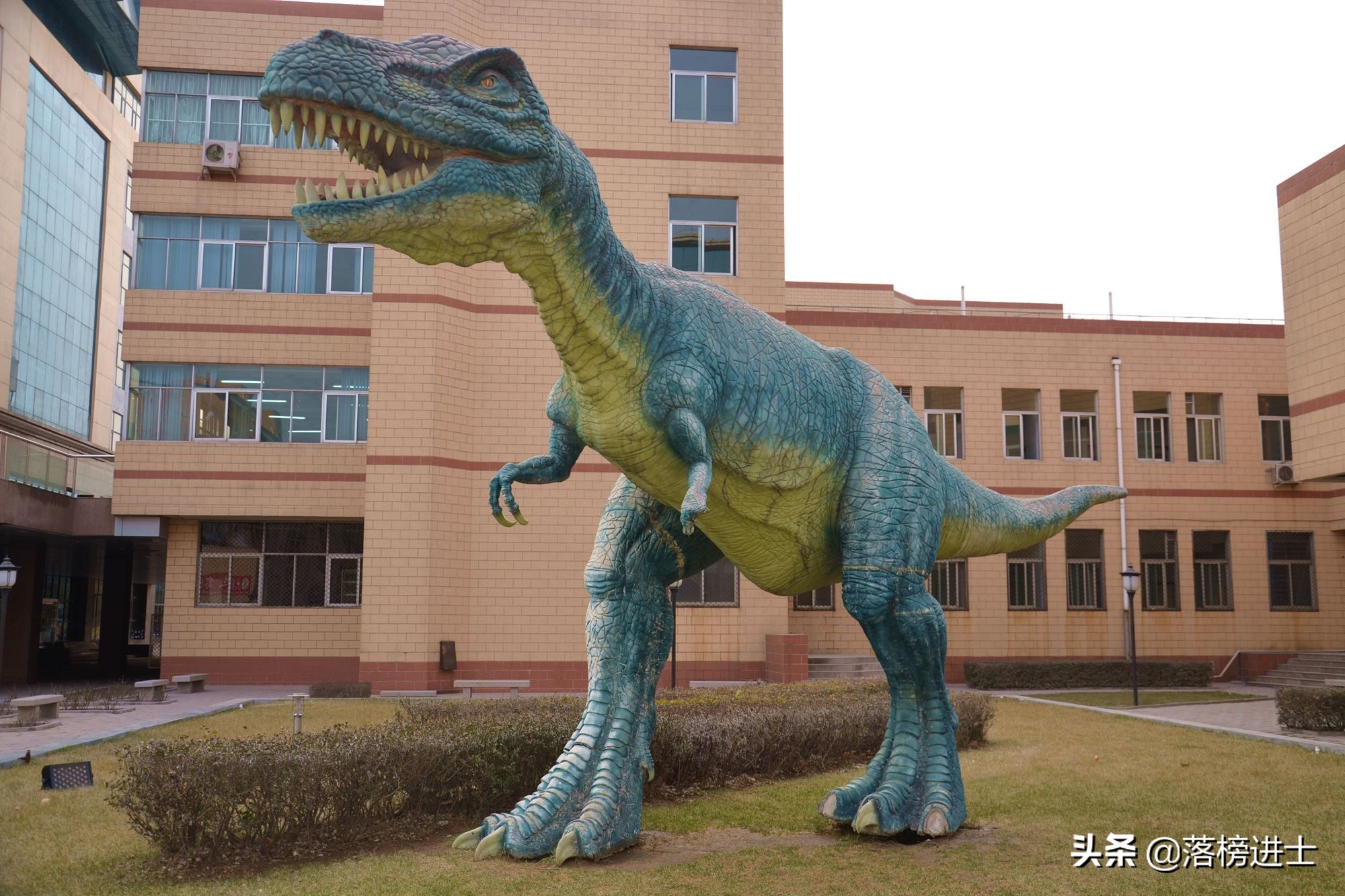 石家庄哪个博物馆里有恐龙化石,石家庄博物馆里有恐龙化石吗