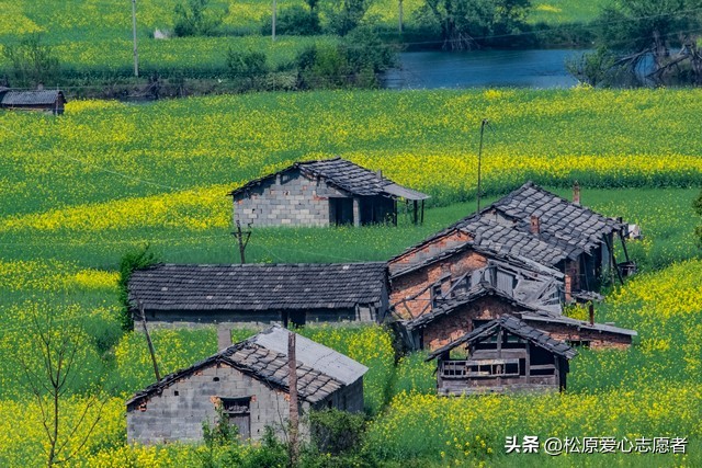 爱不释手的雨衣 (童年的花雨衣)