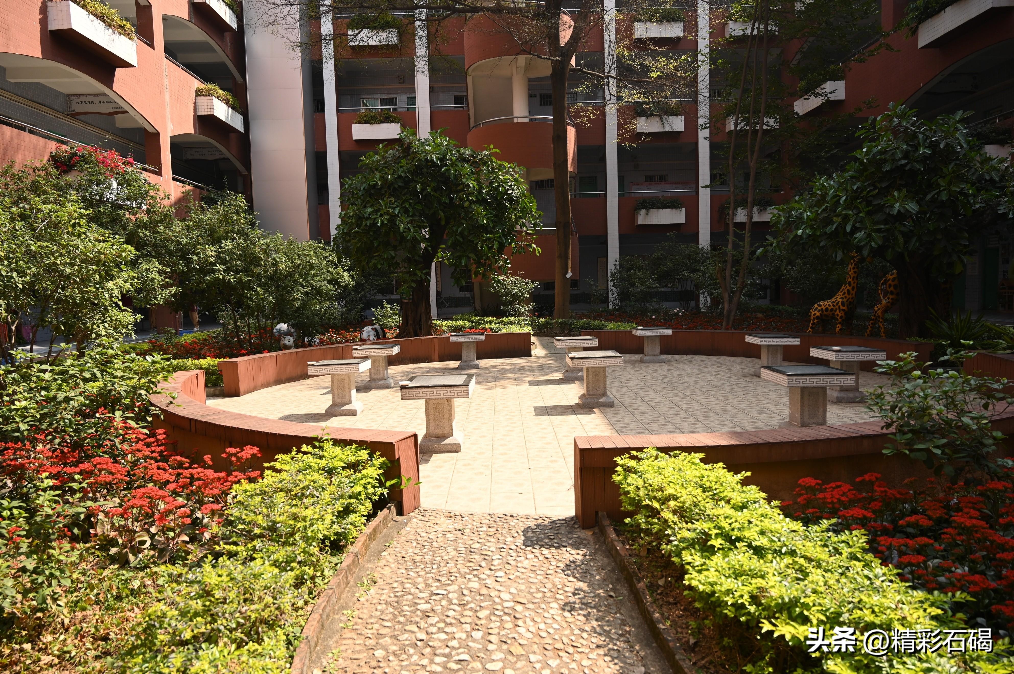 石碣四海学校的视频,石碣四海学校