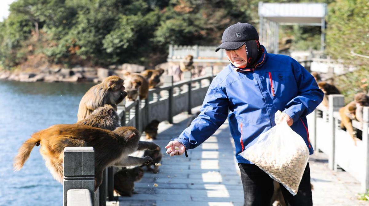 宁波九龙湖景观,宁波九龙湖湖畔