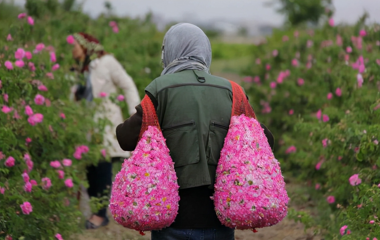 伊朗原油出口创三年来新高,伊朗石油出口预期