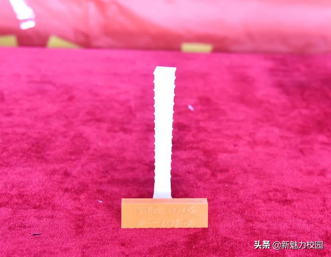 南京一中实验学校首届科技节实践活动之语数外物等学科作品展