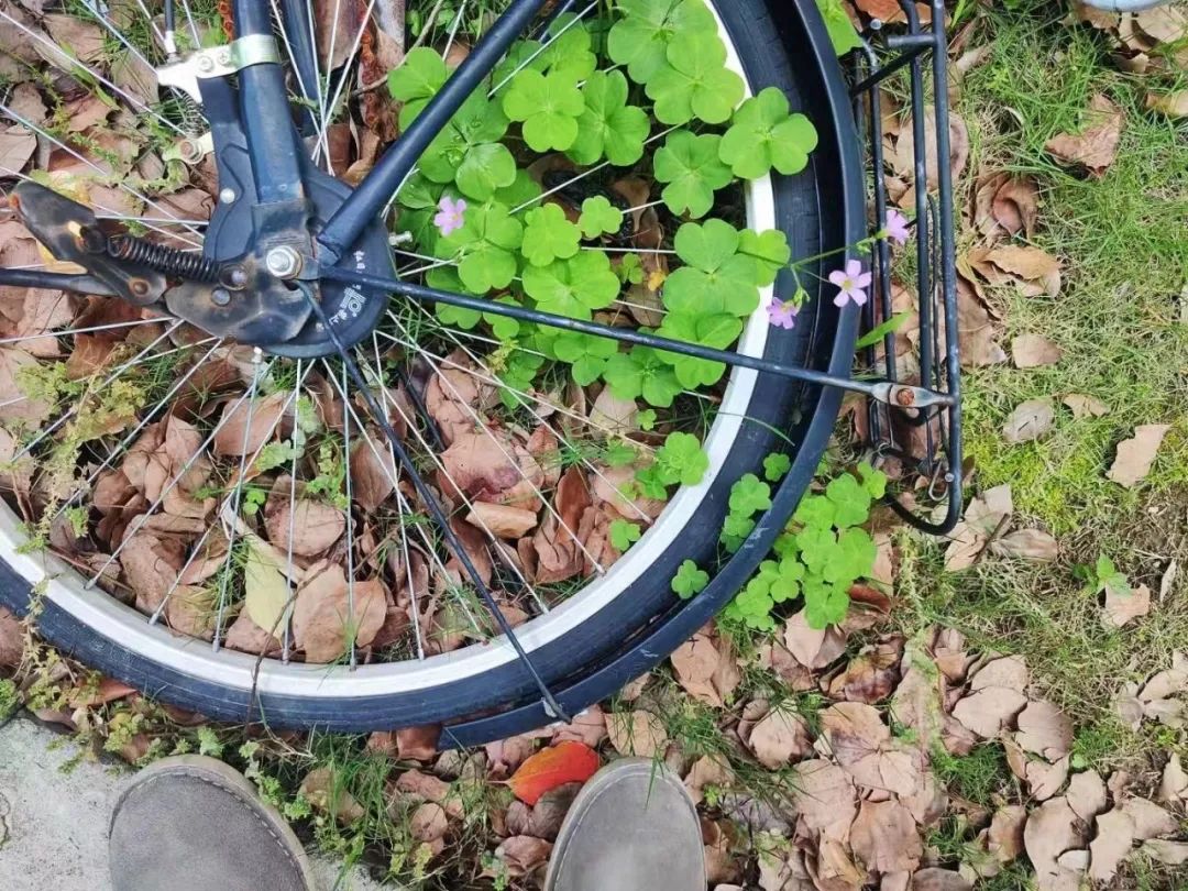 疫情控制最严的城市,疫情封闭的城市要经历几个阶段