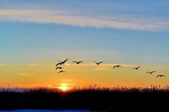 中国古诗文,有所思卢仝古诗文欣赏