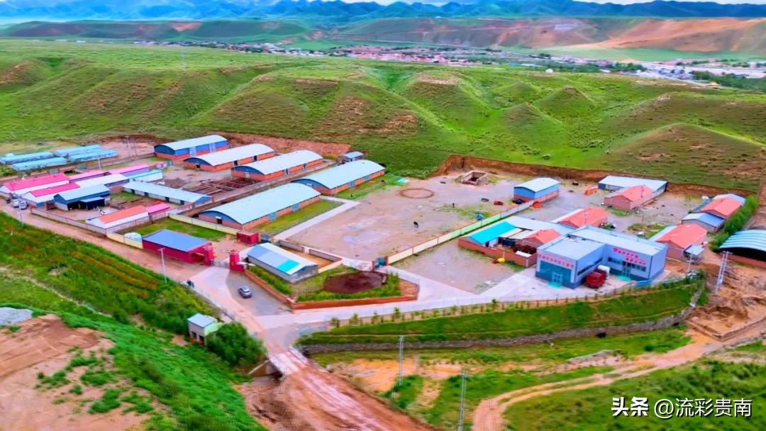 乡村振兴畜牧业,畜牧业乡村振兴