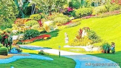 碧桂园是最良心的房企吗,碧桂园为什么是宇宙第一房企