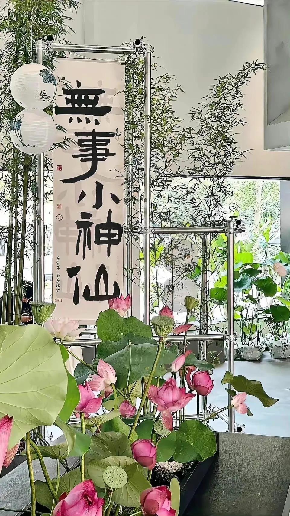 荷花荷叶壁纸图片大全,荷叶手机壁纸高清图片