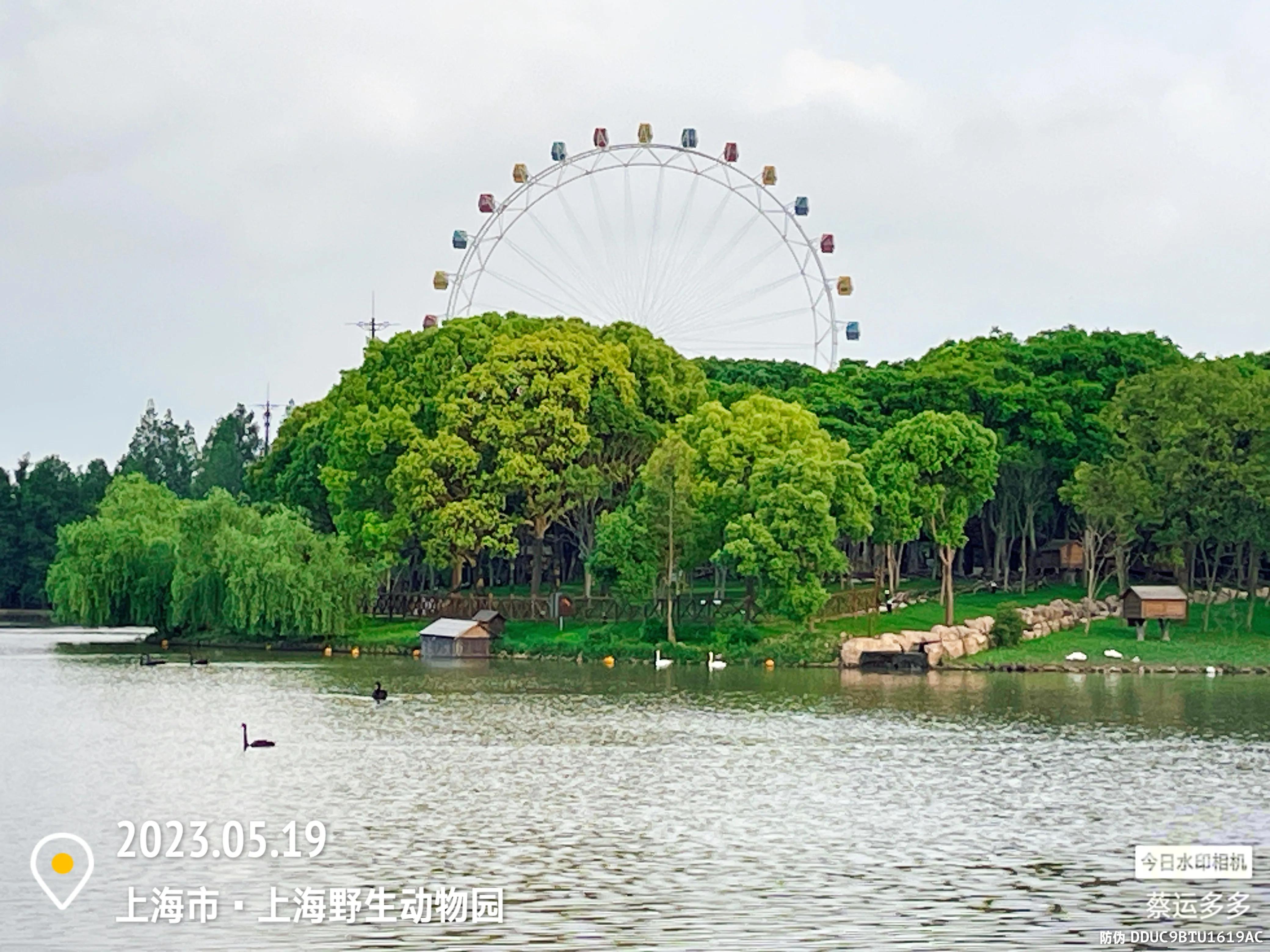 我喜爱的动物是小猫,什么动物招人喜爱