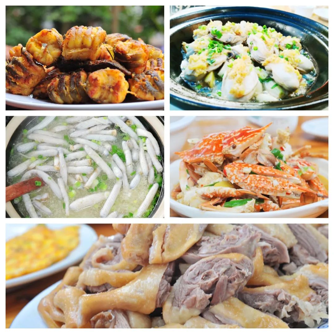 春日出游计划东寨港红树林观鸟游,东寨港红树林观鸟