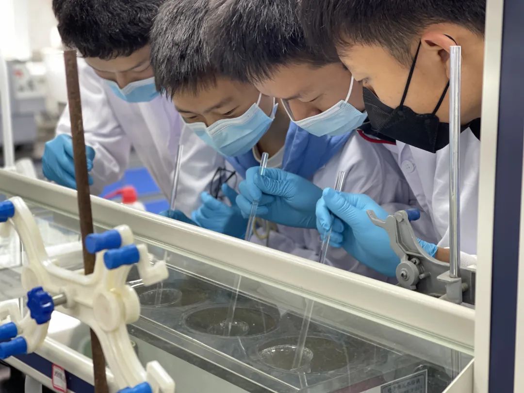 树德协进中学2019年喜报,树德协进高中位次