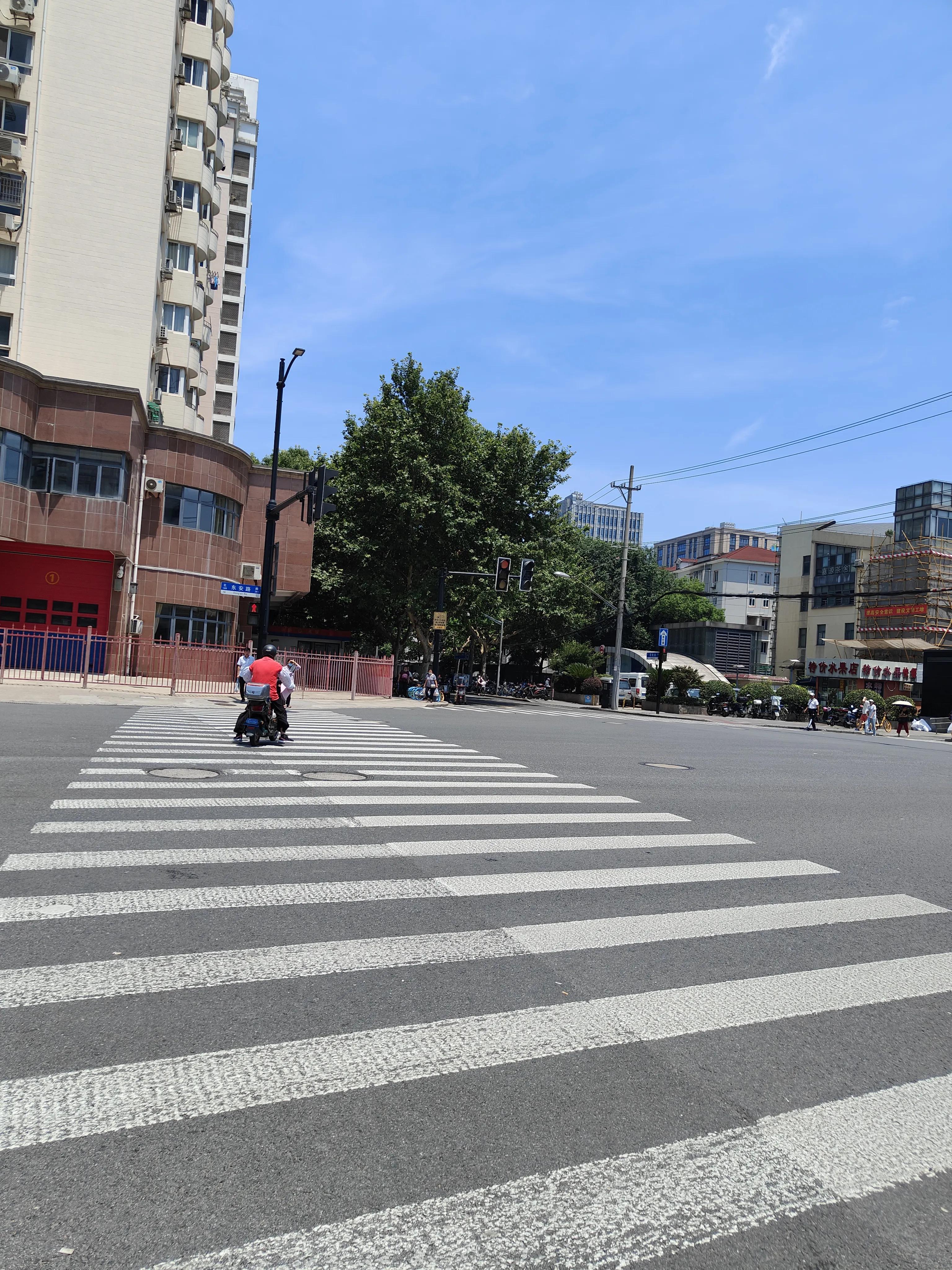 神兽暑假去哪玩,神兽暑假生活