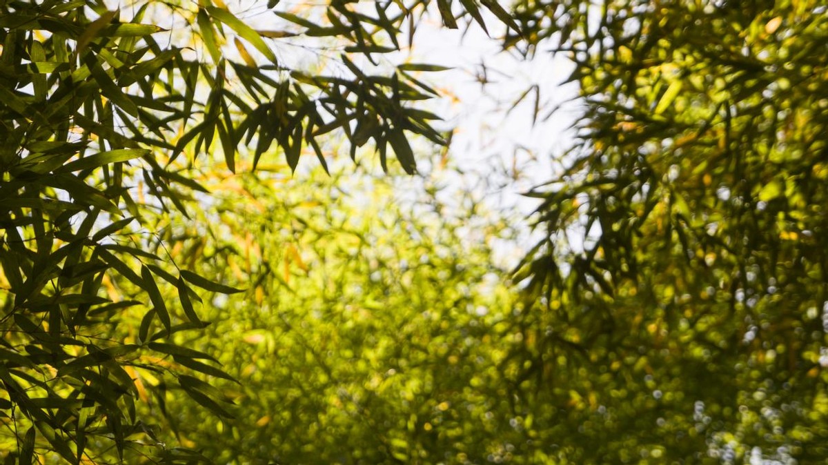 全州县天湖风光图片,桂林全州天湖旅游风光摄影