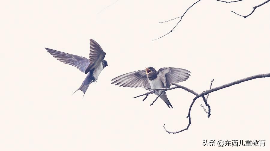 孔子认为读诗经可以学会什么呢,为什么要引导孩子学诗经