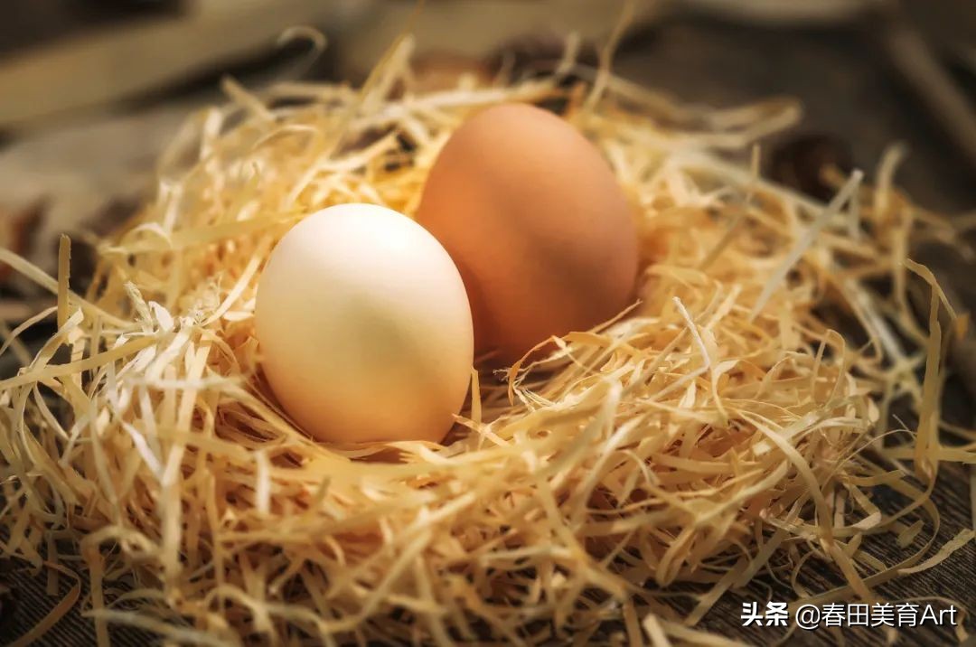 教程丨少儿美术课程《孵蛋的鸡妈妈》