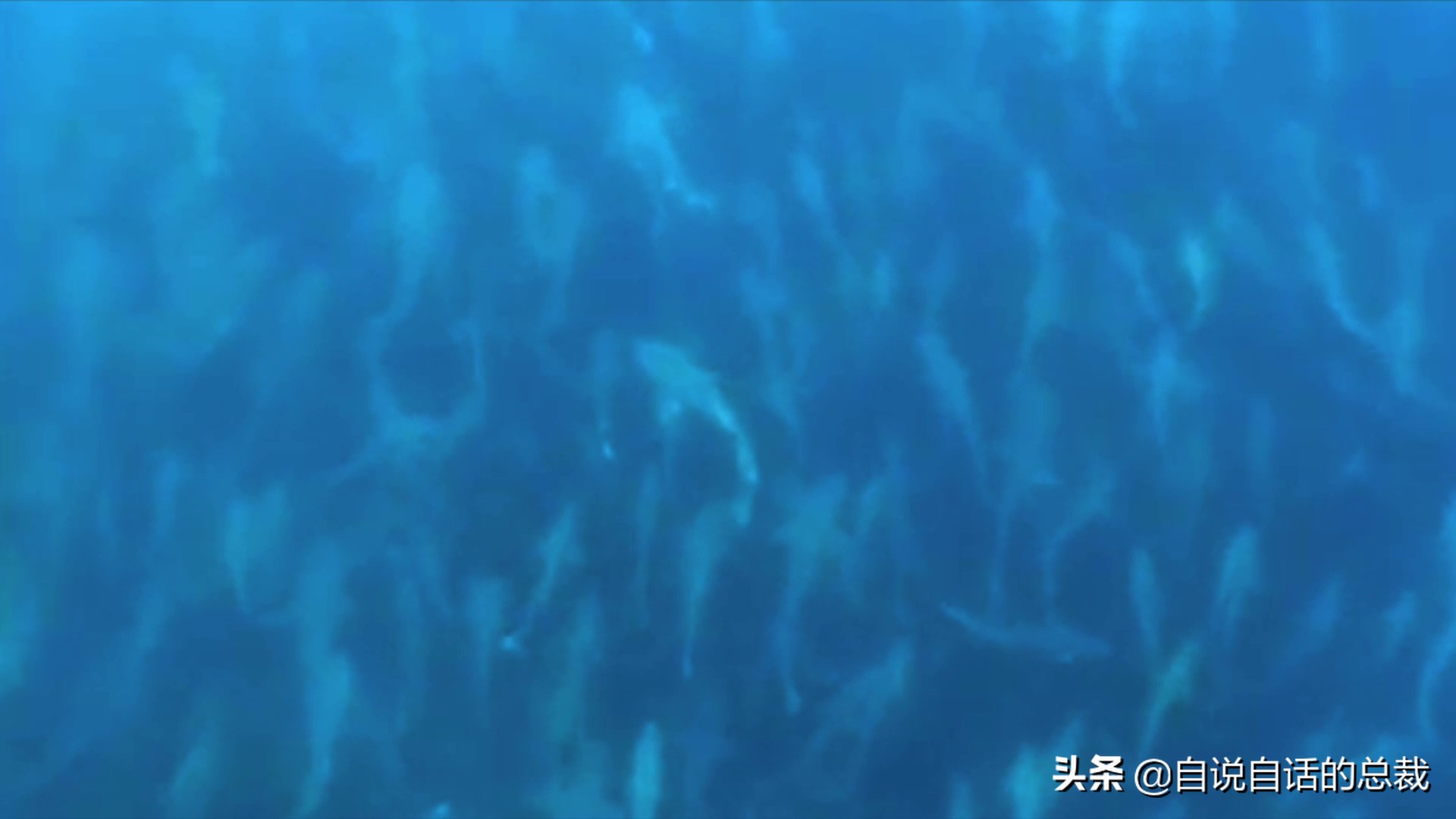 为什么买的鳕鱼段都是粘液,为什么买的鳕鱼那么多水