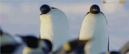 这几部口碑爆棚的宝藏纪录片,国庆孩子必看的8部神级纪录片