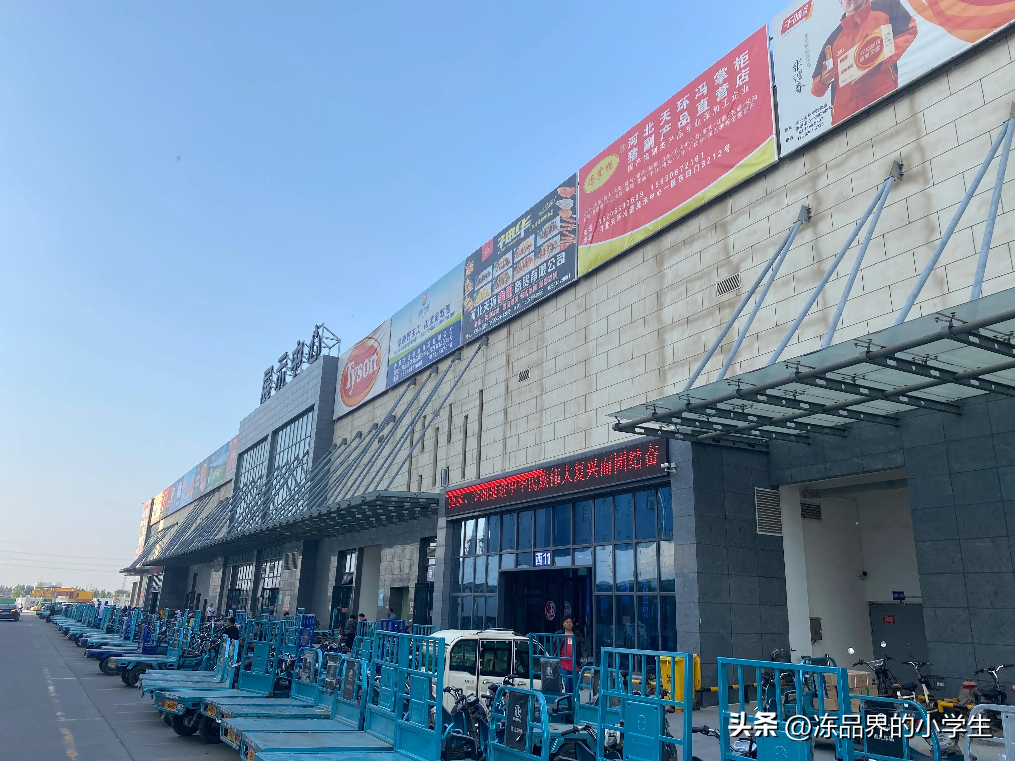 新手做冻品生意要注意什么,为什么做冻品生意比较好