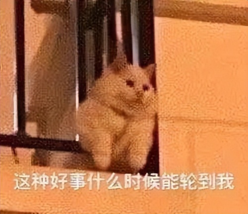 刘畊宏健身最近有多火,刘畊宏健身问题事件