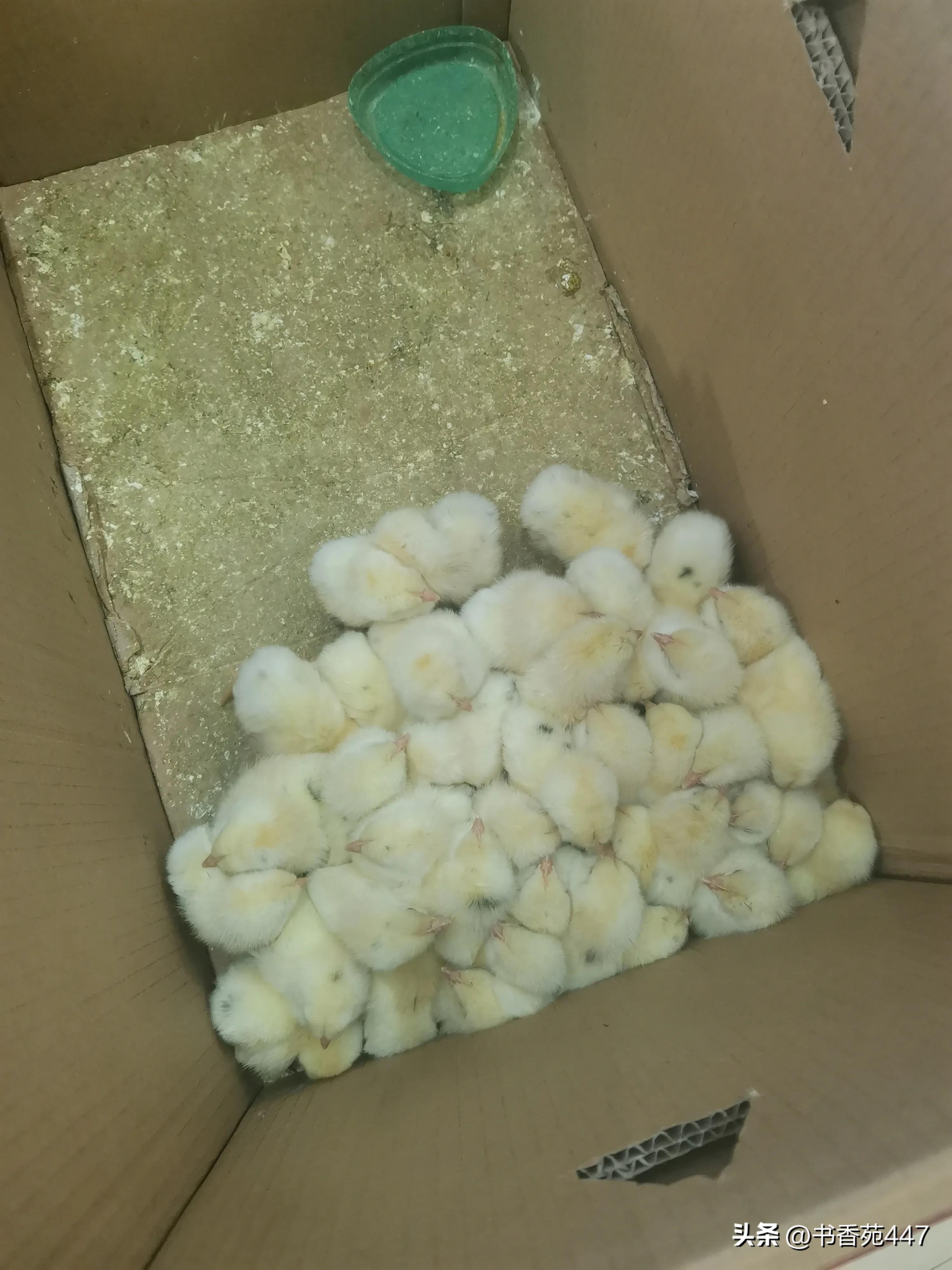 买东西遇到的奇葩人和事,买东西遇到奇葩人士怎么办