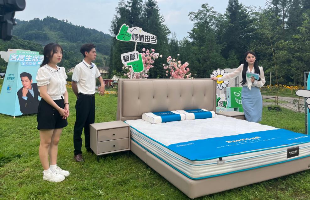 双虎家居整装,双虎家居全屋优选官网旗舰店