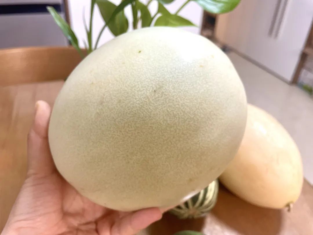 武汉美女：夏天要吃这些好瓜，藤蔓上的水果冰淇淋