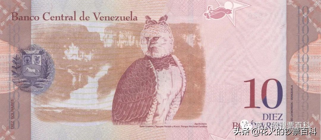 委内瑞拉二元纸币,委内瑞拉50000元纸币解析