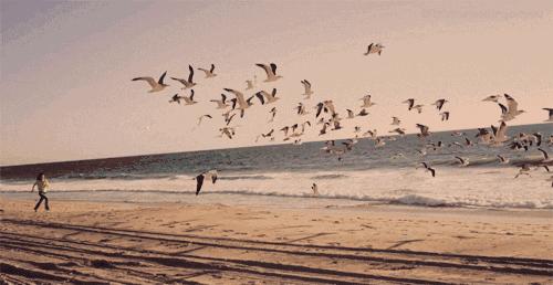 云帆诗会最新一期,云帆诗会完整版