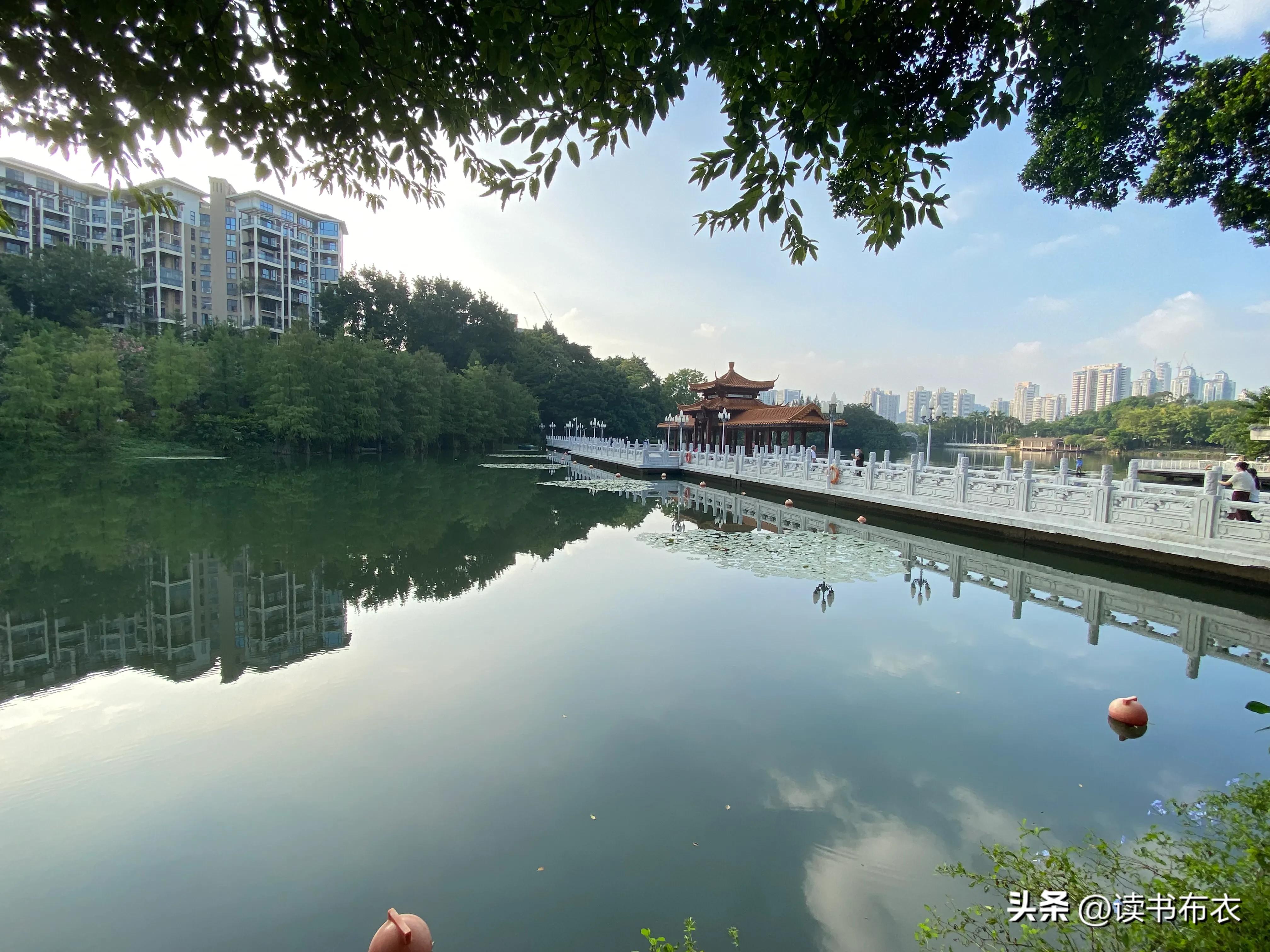 深圳荔枝公园杀人事件,深圳荔枝公园真的太美了